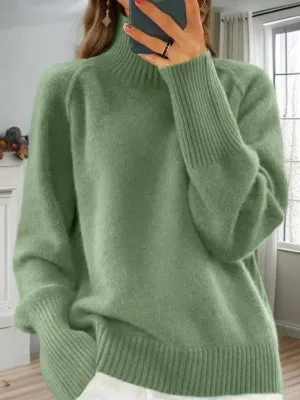 Essential Solid Turtleneck Thick Knit Pullover Sweater