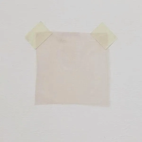 Organza Nude