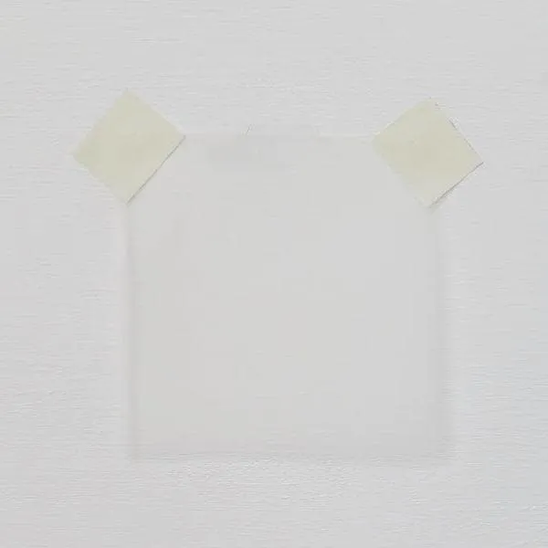 Organza Silk White