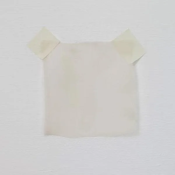 Satin Chiffon Champagne
