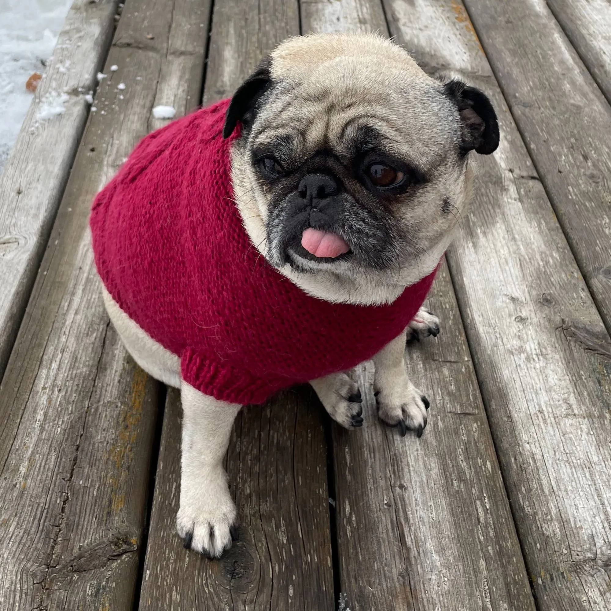 Warm Colorful Red Handknit Alpaca Dog Sweater