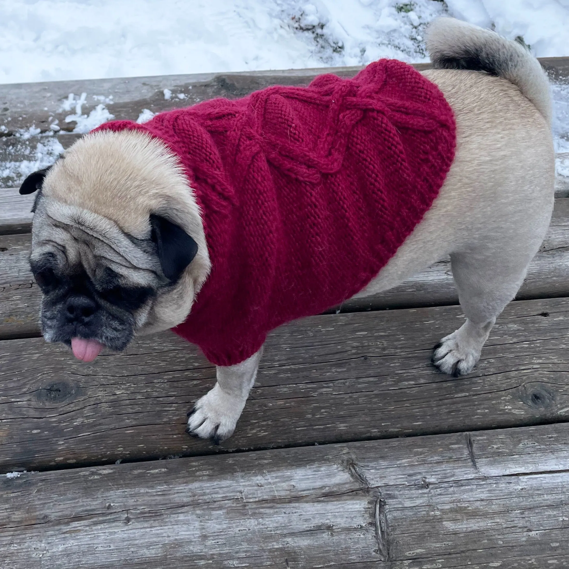 Warm Colorful Red Handknit Alpaca Dog Sweater